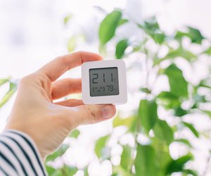 Hygrometer-Test: Diese 5 Messgeräte bestimmen die Luftfeuchtigkeit zuverlässig