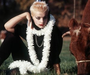 Ostmusiker-Bilderrätsel: Welche DDR-Künstler sehen wir hier?