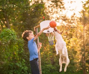 Eltern-Hack: Diese Spiele für den Garten sorgen für Action & Familien-Spaß