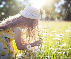 Blumen trocknen: So klappt's kinderleicht!