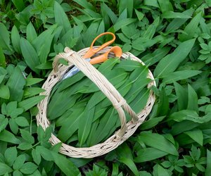 Welche Alternativen gibt es für Bärlauch?