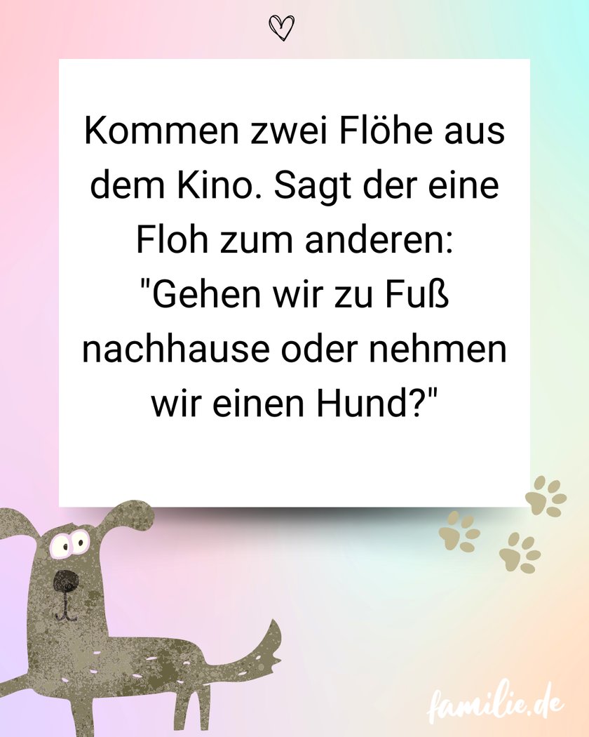 Hundewitze - Unterhalten sich zwei Flöhe ...