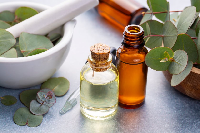 Eucalyptus leaves and essential oil Eucalyptus leaves and essential oil