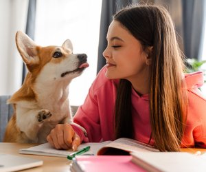 Was dein Sternzeichen über deine innere Tiernatur verrät