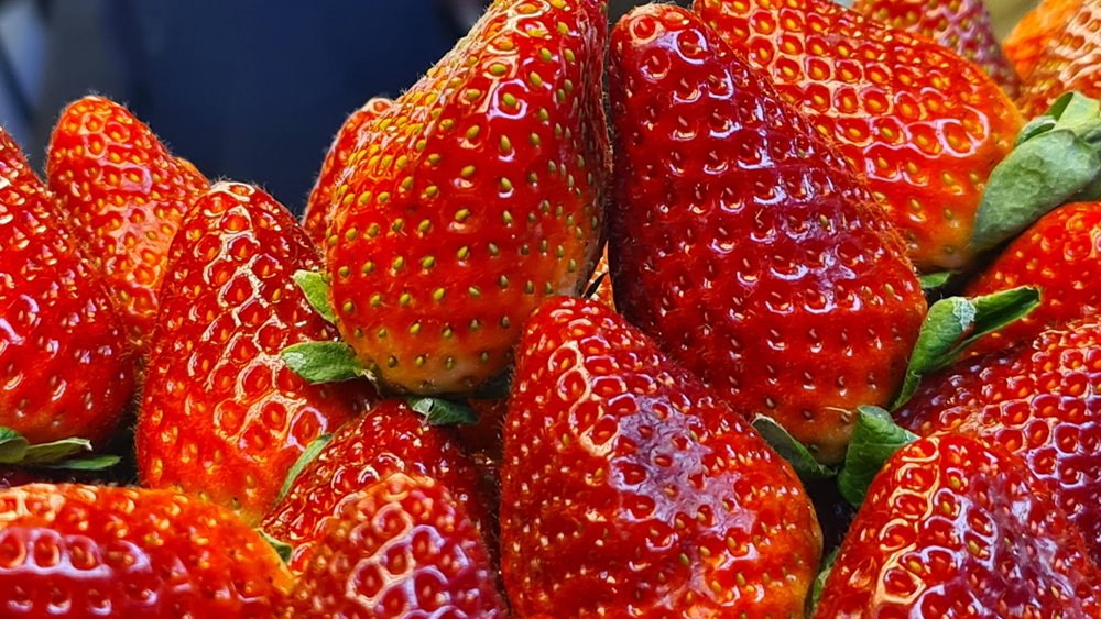 Erdbeeren sind anfällig für Schimmel