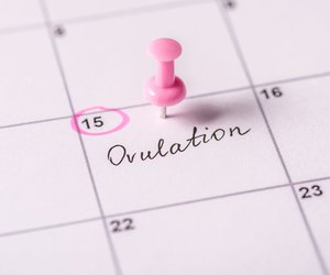 Eisprungrechner: Schnell und einfach deine fruchtbaren Tage berechnen