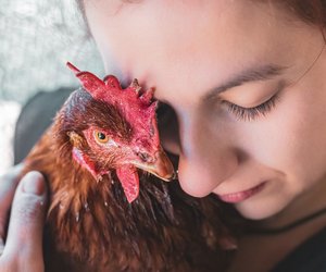 Ist vegan leben und sich vegan ernähren das Gleiche? Wir klären auf.