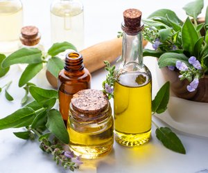 Von Lavendel bis Melisse: Die 7 besten Entspannungsöle für mehr Entspannung im Alltag