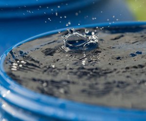 Mückenlarven in der Regentonne? Mit diesen 5 Tipps wirst du sie los!