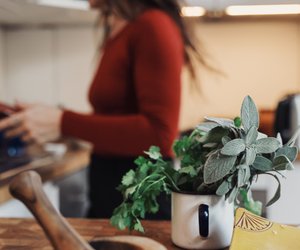 Salbeibonbons in der Schwangerschaft: Das ist zu beachten