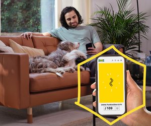 Punkte sammeln bei IKEA: Ab September endlich möglich
