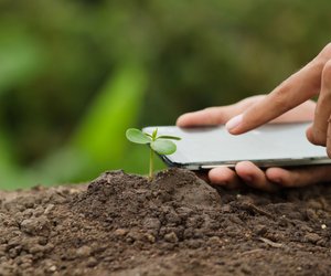 Bessere Ökobilanz: Was nachhaltige Handys ausmacht