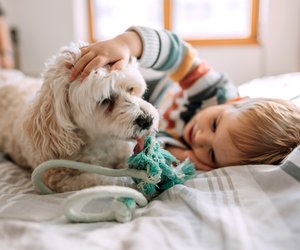 Studien belegen: So gut tun Hunde Kindern wirklich