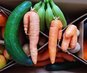 Lohnen sich Vegan-Boxen? Wir haben 6 beliebte  Anbieter getestet