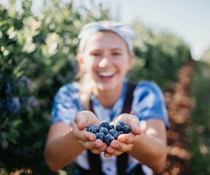 Blaubeeren & Schwangerschaft: Sind sie in dieser Zeit gesund?
