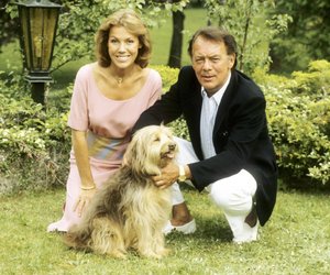 Erkennst du die TV-Hits an einem einizgen Bild? Dann bist du ein großer 80er-Serien-Fan!