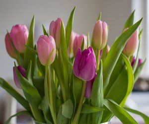 Wunderschönes Ikea-DIY: Diese selbstgemachte Blumenvase ist der Knaller