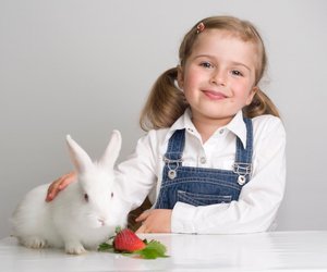 Dürfen Kaninchen Erdbeeren essen?