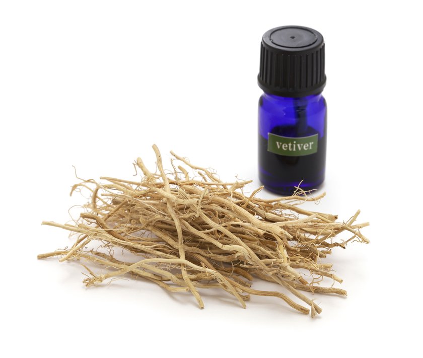 dried vetiver roots and vetiver essential oil in a glass vial dried vetiver roots and vetiver essential oil in a glass vial