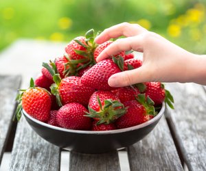 Erdbeer-Quiz: Weißt du ALLES über die beliebte Beere?